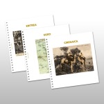 DOMINUS Italia Colonie completo fogli escluso Egeo e Castelrosso Bolaffi 3