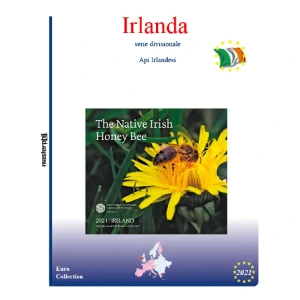 Inserto divisionale Irlanda 2021 Master Phil