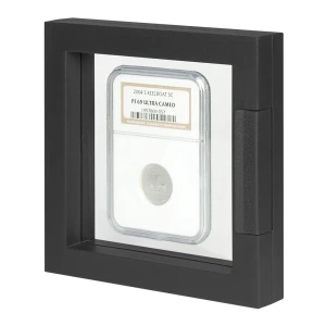 Cornice espositiva NIMBUS ECO 100 nera Lindner 1