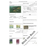Catalogo Europa CEPT 2025 2026 Michel 4