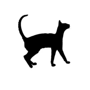 Etichetta adesiva tematica Gatti 1 pz. Marini