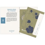 2026 2 Euro 800° della scomparsa di San Francesco D Assisi FDC in folder San Marino 2