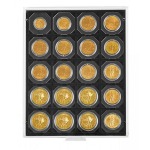 LINDNER - BOX CARBO a 20 caselle quadrate da 50 mm - Nero