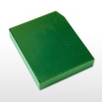 BOLAFFI - Cartella a 4 anelli MASTER con custodia, vuota - Verde
