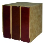 MASTER PHIL - Cartella a 4 anelli in pelle BIG PREMIER con custodia, vuota - Color cuoio