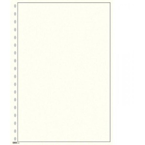 LINDNER - Fogli BLANKO A4 color bianco con cornice nera - 10 pz.