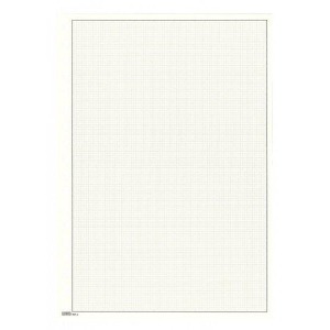 LINDNER - Fogli BLANKO A4 color bianco con quadrettatura grigia e cornice nera - 10 pz.