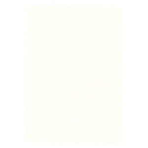 LINDNER - Fogli BLANKO A4 color bianco senza stampe - 10 pz.