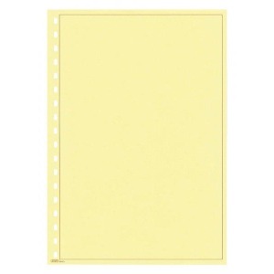 LINDNER - Fogli BLANKO A4 color crema con cornice marrone - 10 pz.