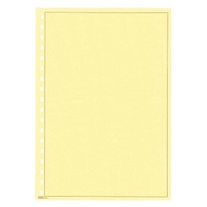LINDNER - Fogli BLANKO A4 color crema con leggera quadrettatura e cornice marrone - 10 pz.
