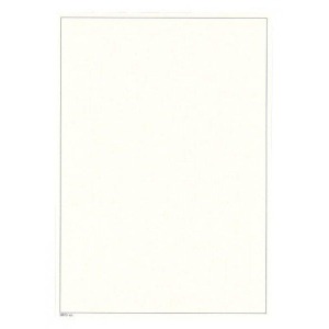 LINDNER - Fogli BLANKO A4 non perforati color bianco con cornice nera - 10 pz.
