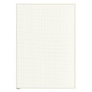 LINDNER - Fogli BLANKO A4 non perforati color bianco con quadrettatura grigia e cornice nera - 10 pz.