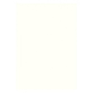 LINDNER - Fogli BLANKO A4 non perforati color bianco senza stampe - 10 pz.