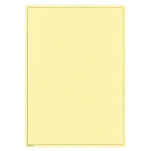 LINDNER - Fogli BLANKO A4 non perforati color crema con cornice marrone - 10 pz.