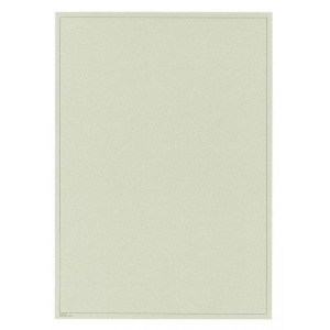 LINDNER - Fogli BLANKO A4 non perforati color grigio argento con quadrettatura grigia - 10 pz.