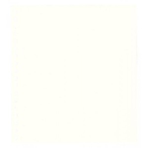 LINDNER - Fogli BLANKO color bianco senza stampe - 10 pz.