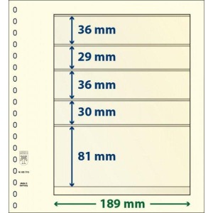 Fogli T BLANKO a 5 tasche 802513 10 pz. Lindner