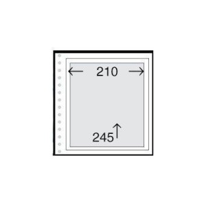 ABAFIL - Fogli bianchi MULTI VISION TS6 a 1 striscia 210x245 mm - 6 pz.